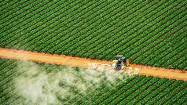 Best Best Pest Control Companies  in Woodworth, LA