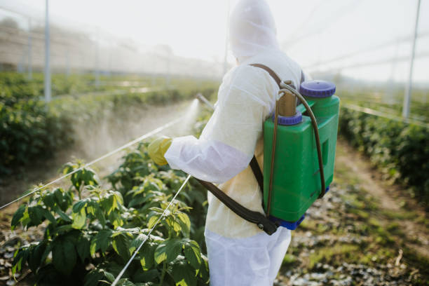 Best Pest Control Near Me  in Woodworth, LA